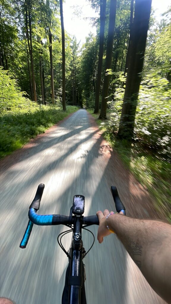 Singletracks Forêt de Soignes by Gautier