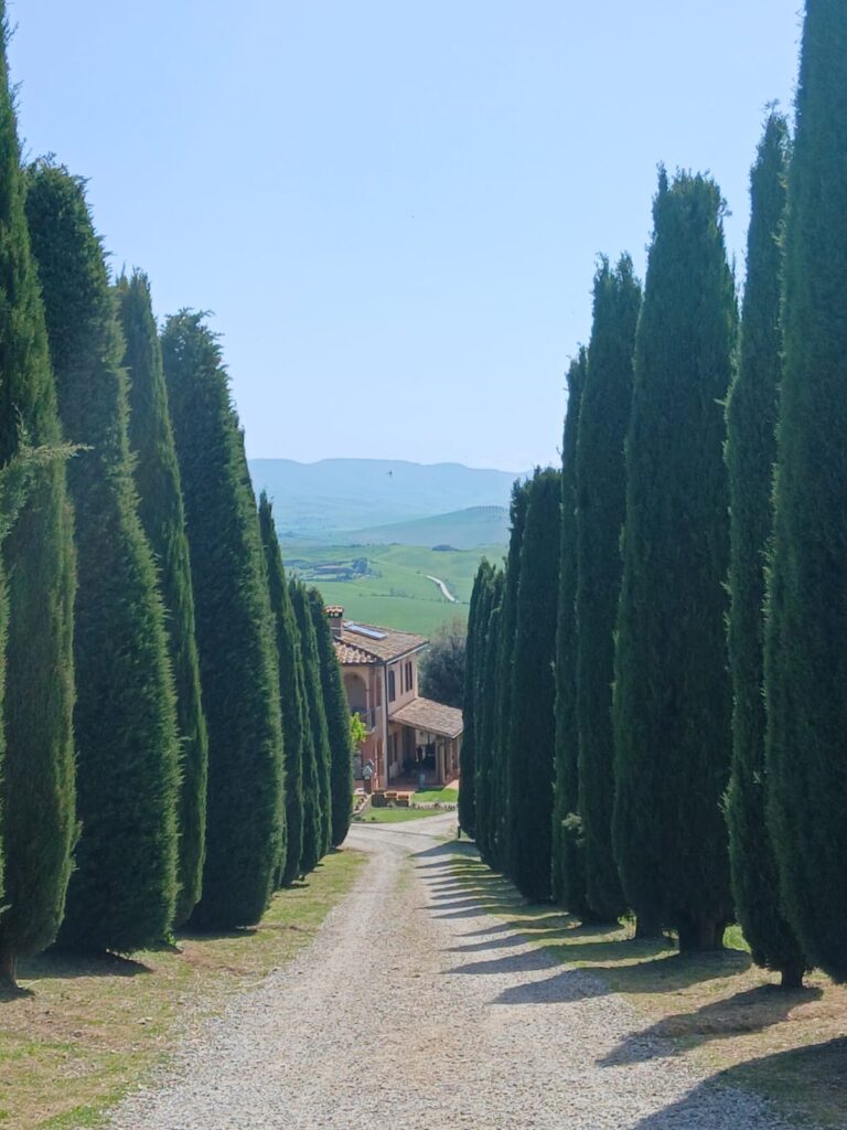 Boucle toscane by Florent